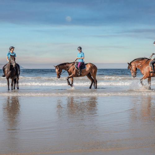 3 chevaux montés sur la plage