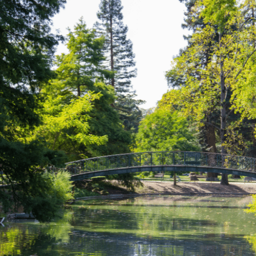 Pont dans un petit parc