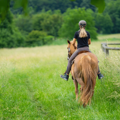 femme à cheval dans un chemin