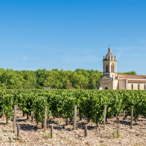 Vignoble et église de Margaux, dans la région du Médoc, près de Bordeaux