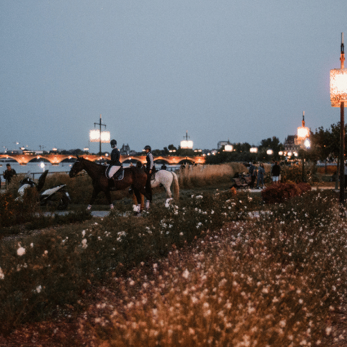 les quais de bordeaux de nuits